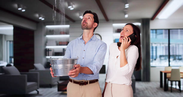 Best Residential Water Damage Restoration in USA